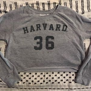Gray Harvard cropped Long sleeve, size S